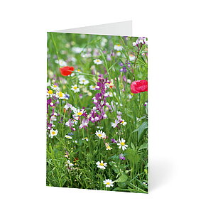 UNICEF Grusskarte Blumenwiesen